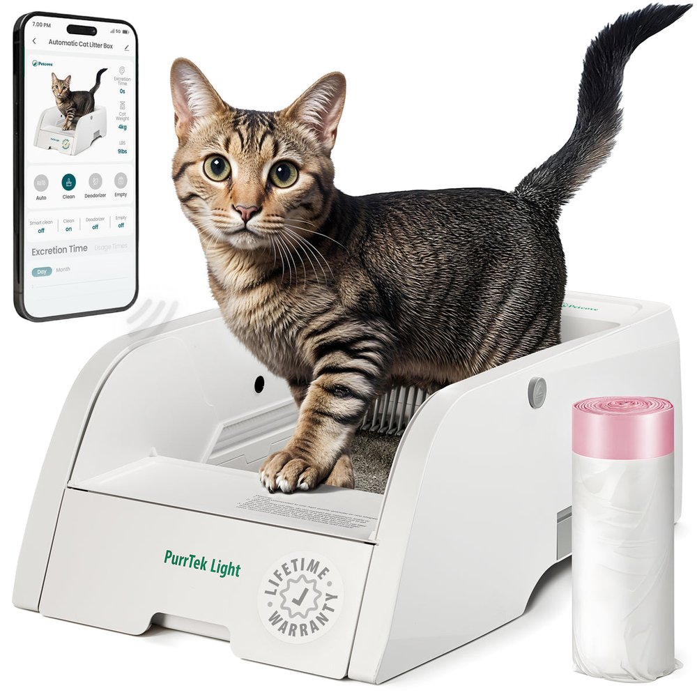 Petcove cat and connected litter-box product creative